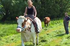 cow cowgirl ridden riding trains teenage horse viraltab