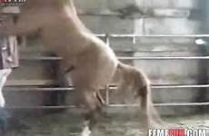 horse gay fucked fucks gets anal barn sex videos femefun bends over ago months