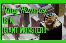 monster hamster tiny giant webby winner