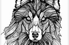wolf coloring adult pages wolves printable realistic favoreads