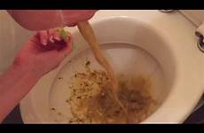 toilet disgusting vomit truly inappropriate report