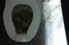 toilet filled crap