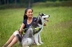 asian dog woman young stocksy female
