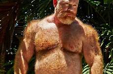 ginger beards bears very scruffy offensively muscly handsome beefy