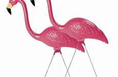 flamingo roadkill amazon lolicon incest addict
