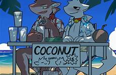 yiff coconut shark e621 irl puro coconuts sea milking anthro furrys yiffinhell nsfw