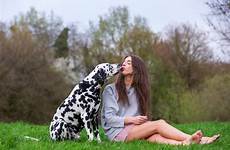 chien baiser dalmatien obtient