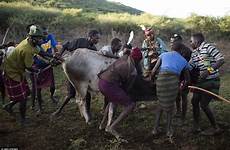 tribal ceremony traditional wedding women kenya slaughtered cattle men dowry part eaten bull girls brutal hardships unlikely tradition suffered parents