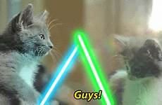 gif wars star lightsaber jedi fighting cat gifs kitten animated said they gifer mfp come there px dimensions