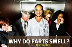 farts farting elevator