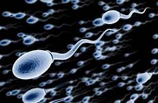 sperm male healthy make health infertility do has preventing ways natural foxnews cause struggling percent couples something