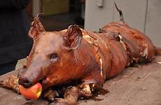 spit roast whole hog pig roasted cooked meat juicy totally beautifully crackle perfect amyglaze