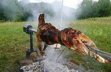 spit goat roasted roast farm cooking girls roots roasting picnic goats primitive traditional music simple make mountain green cabrito