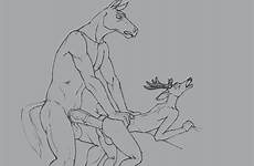 horse gif deer sex gay anal animated anthro erection penis xxx male rule34 balls touching rule equine imgur meets post
