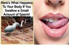swallow sperm