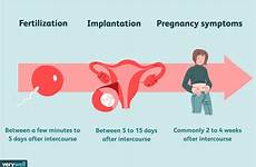 pregnant pregnancy implantation occur verywell lying verywellfamily