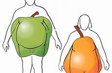 metabolic syndrome pear apple body shapes metabolism symptoms disease mayo shaped causes fat bodies clinic health people meaning