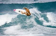 surfing surfer surfista surfeuse surferin surfboard onda ola sports welle vague morze fala vlna 57x 4ever 55x