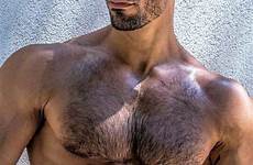 hairy hunks men hot shorts guy sexy man male chest