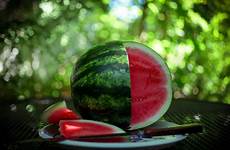 watermelon images4