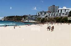 sunbathers bondi sunbathing manly