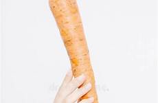 carrot holds carrots