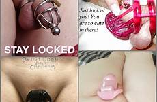 chastity sissy cock small