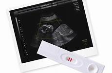sperm precum pregnant screening preliminary suitable