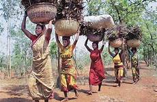 tribals millions ancestral homelands uprooting act ethical wbez forestry adivasi marginalized peoples village affront kill indigenous forests fails vishnuias wrytin