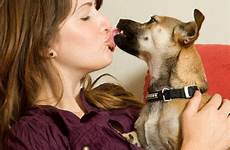 dog pets kissing kiss dogs girls kisses bestiality sex good their health university could animal canine large canada sick oral