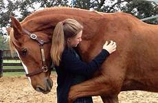 horses hug horse animal cute hugs animals warmest people beautiful kids pretty funny life choose board