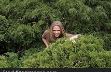 bushes hiding stockfreeimages