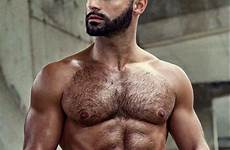 hairy scruffy hunks beards bearded shirtless muscles males ripped hunk