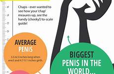 size penis measure does guide average scale huffingtonpost when better isn believe member despite boat school but