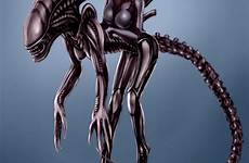 xenomorph pegasi a05