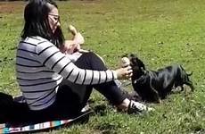 dog lick her woman ice cream letting lets times eating caught pet camera she after viewed footage believed least since