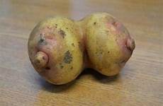 shaped potato breast bunch