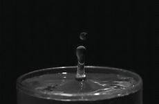 gif water drop giphy animated gifs tweet search