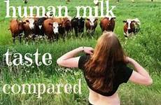 milk human cows cow comparing taste breast experiment produce do jersey better guernsey difference cream uses dairy sized were textures