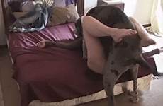 dog wife woman fucking sex dane great videos fucks caught hidden camera xxx pet homemade amateur has two animal animalsex