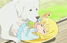 labrador myanimelist