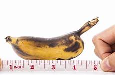 penis micropenis size small measure does