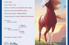 cimarron stallion registered horseyhooves