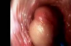 penis xvideos vagina inside sex guide videos