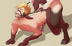 transformation donkey tf futa furry tg e621 yiff megapornx