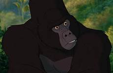tarzan gorilla ape