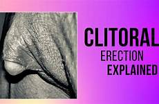 erection clitoral