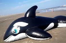 whale inflatable