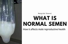 semen normal male reproductive