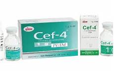 cef injection pharmaceutical professionals healthcare only